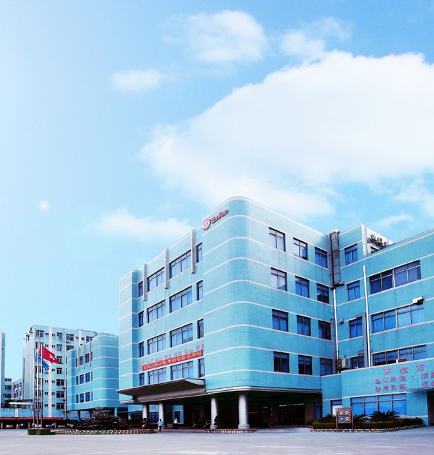 company mission